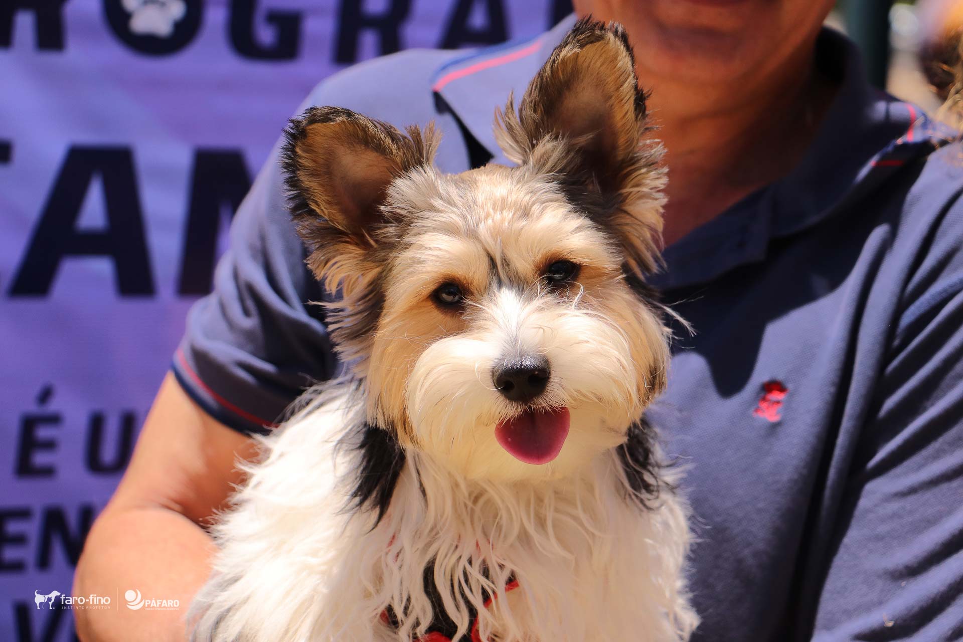 A 3ª Feira Animal – É o Bicho foi mais um sucesso!